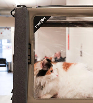 PureVent Medium Pet Oxygen Chamber – At Home Veterinary-Grade Oxygen Therapy For Pets