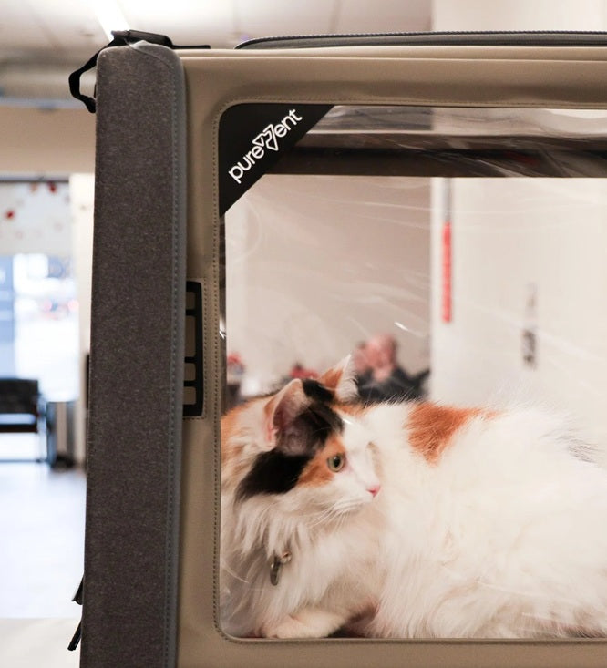 PureVent Medium Pet Oxygen Chamber – At Home Veterinary-Grade Oxygen Therapy For Pets