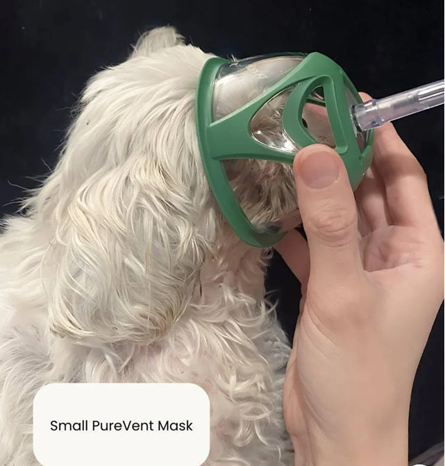 Dog Inhalation Mask PureVent Pet Oxygen Mask for Dogs, Cats, Animals – Veterinary-Grade Ox ...