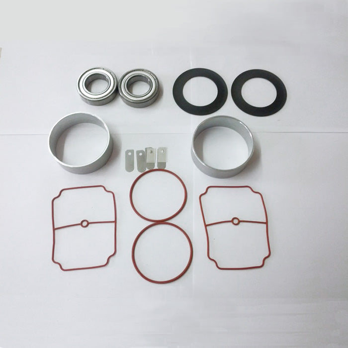 Invacare Platinum 10LPM Compressor Rebuild Kit